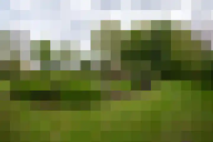 Puitsestraat 2 Leur thumbnail 46