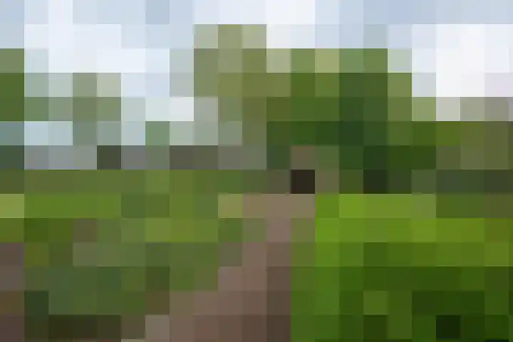 Puitsestraat 2 Leur thumbnail 47