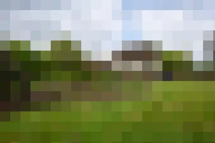 Puitsestraat 2 Leur thumbnail 48