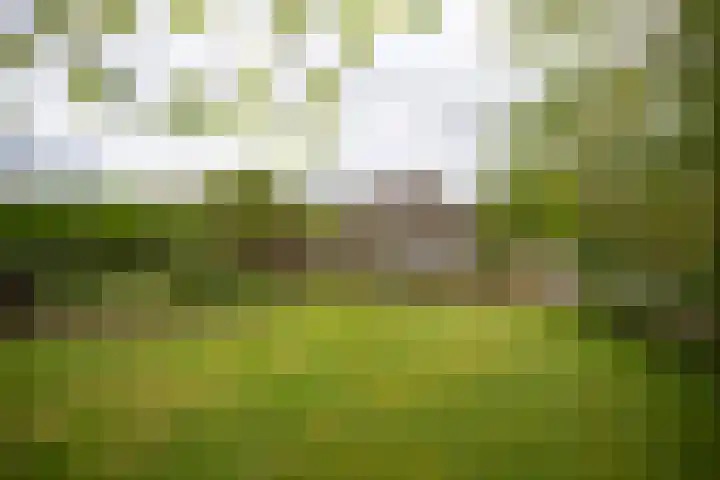 Puitsestraat 2 Leur thumbnail 49