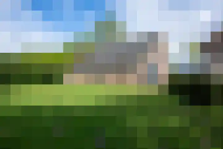 Puitsestraat 2 Leur thumbnail 54