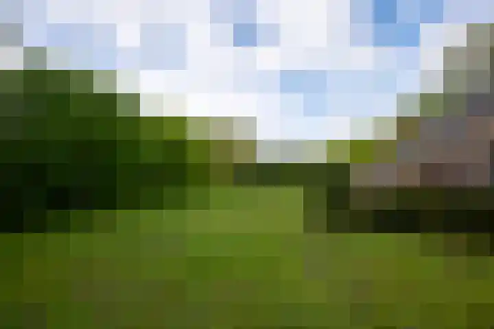 Puitsestraat 2 Leur thumbnail 56