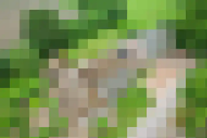 Puitsestraat 2 Leur thumbnail 57