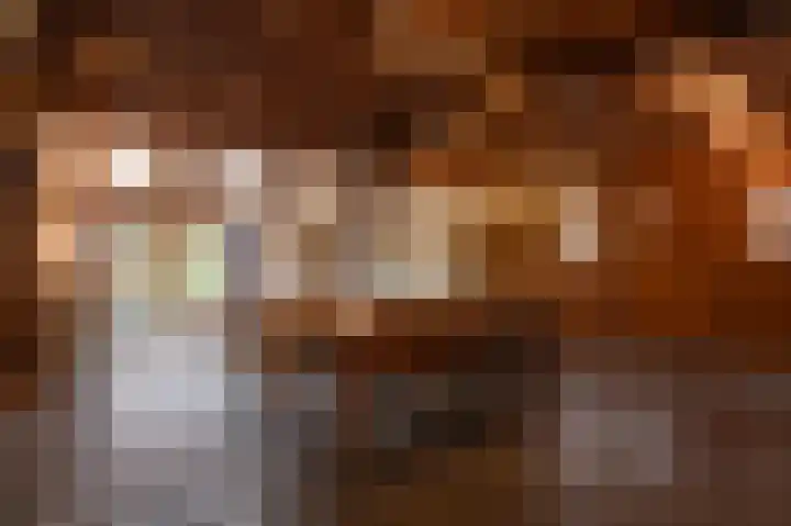 Puitsestraat 2 Leur thumbnail 6