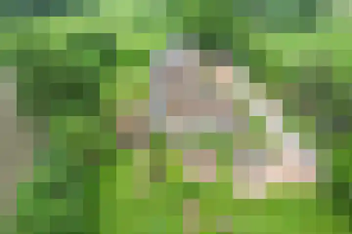 Puitsestraat 2 Leur thumbnail 61