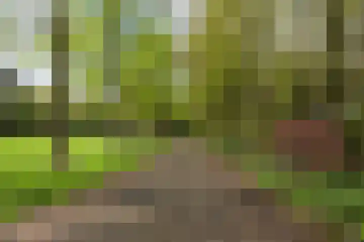 Puitsestraat 2 Leur thumbnail 62