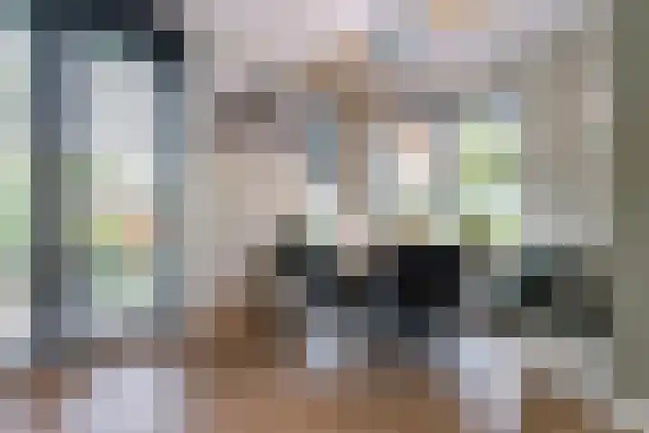 Pulpehoeve 2 Waddinxveen thumbnail 15