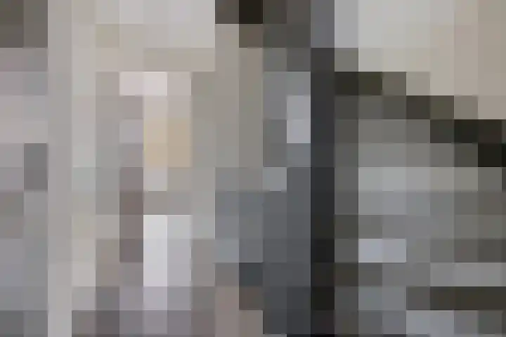 Pulpehoeve 2 Waddinxveen thumbnail 26