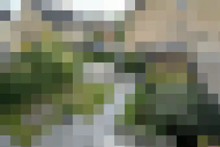 Pulpehoeve 2 Waddinxveen thumbnail 32