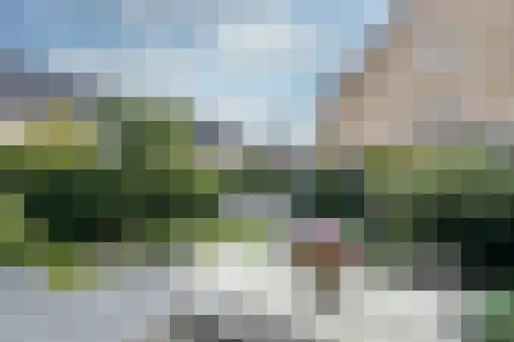 Pulpehoeve 2 Waddinxveen thumbnail 33