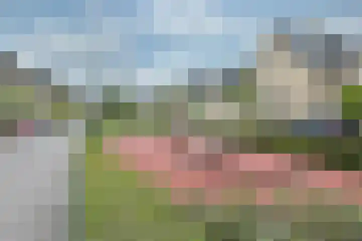 Pulpehoeve 2 Waddinxveen thumbnail 35