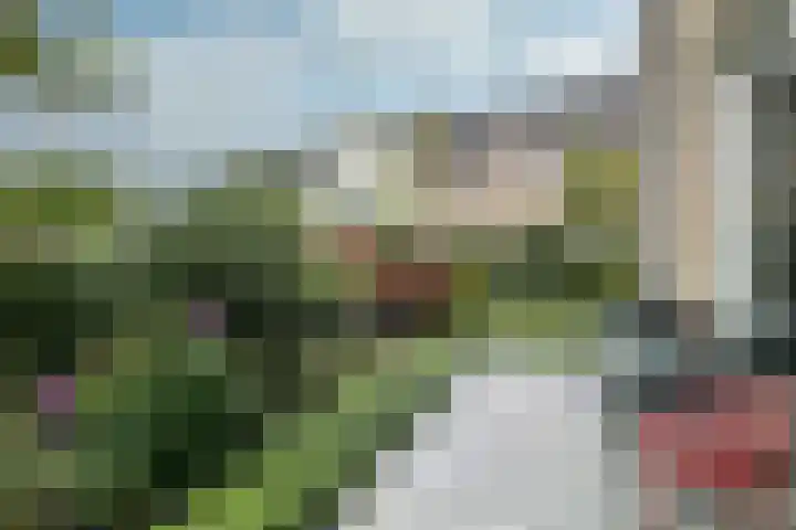 Pulpehoeve 2 Waddinxveen thumbnail 5