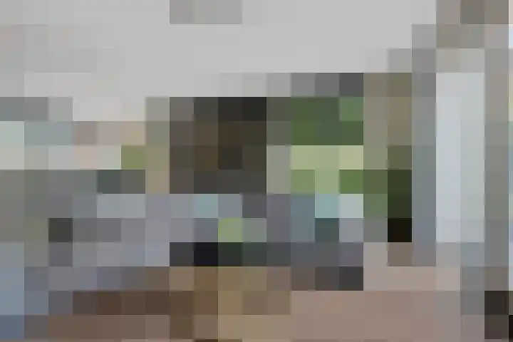 Pulpehoeve 2 Waddinxveen thumbnail 9