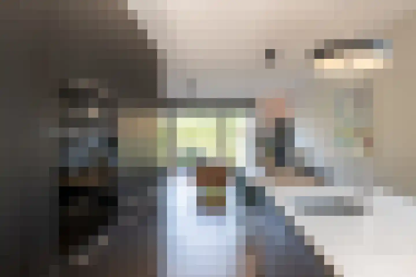 Pulpehoeve 33 Waddinxveen thumbnail 12