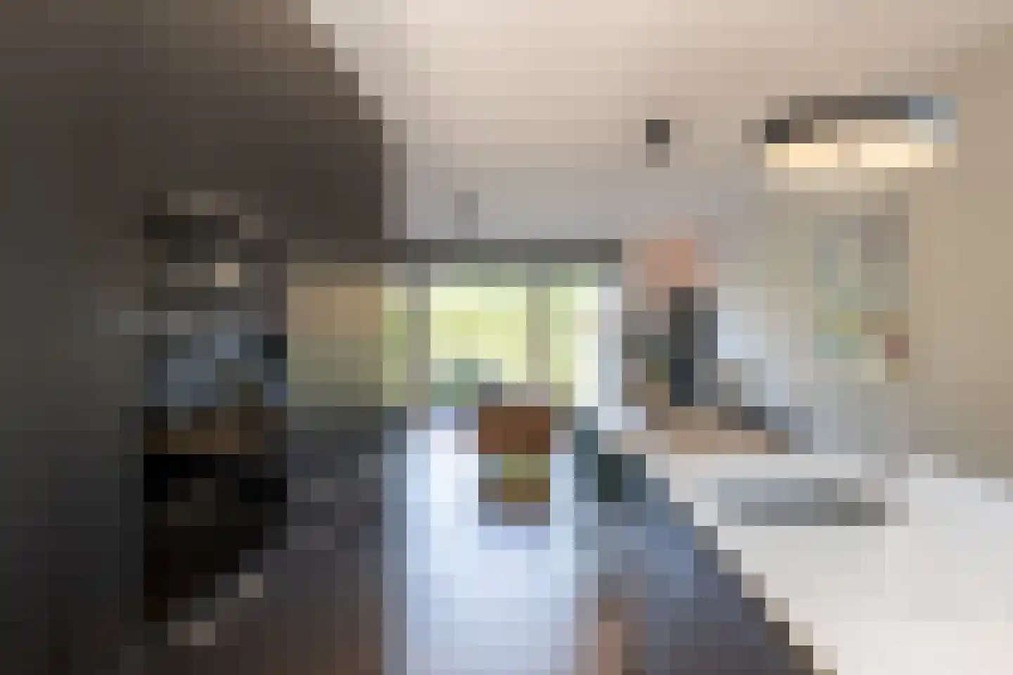 Pulpehoeve 33 Waddinxveen thumbnail 12