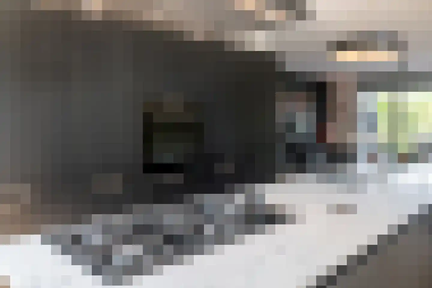 Pulpehoeve 33 Waddinxveen thumbnail 13