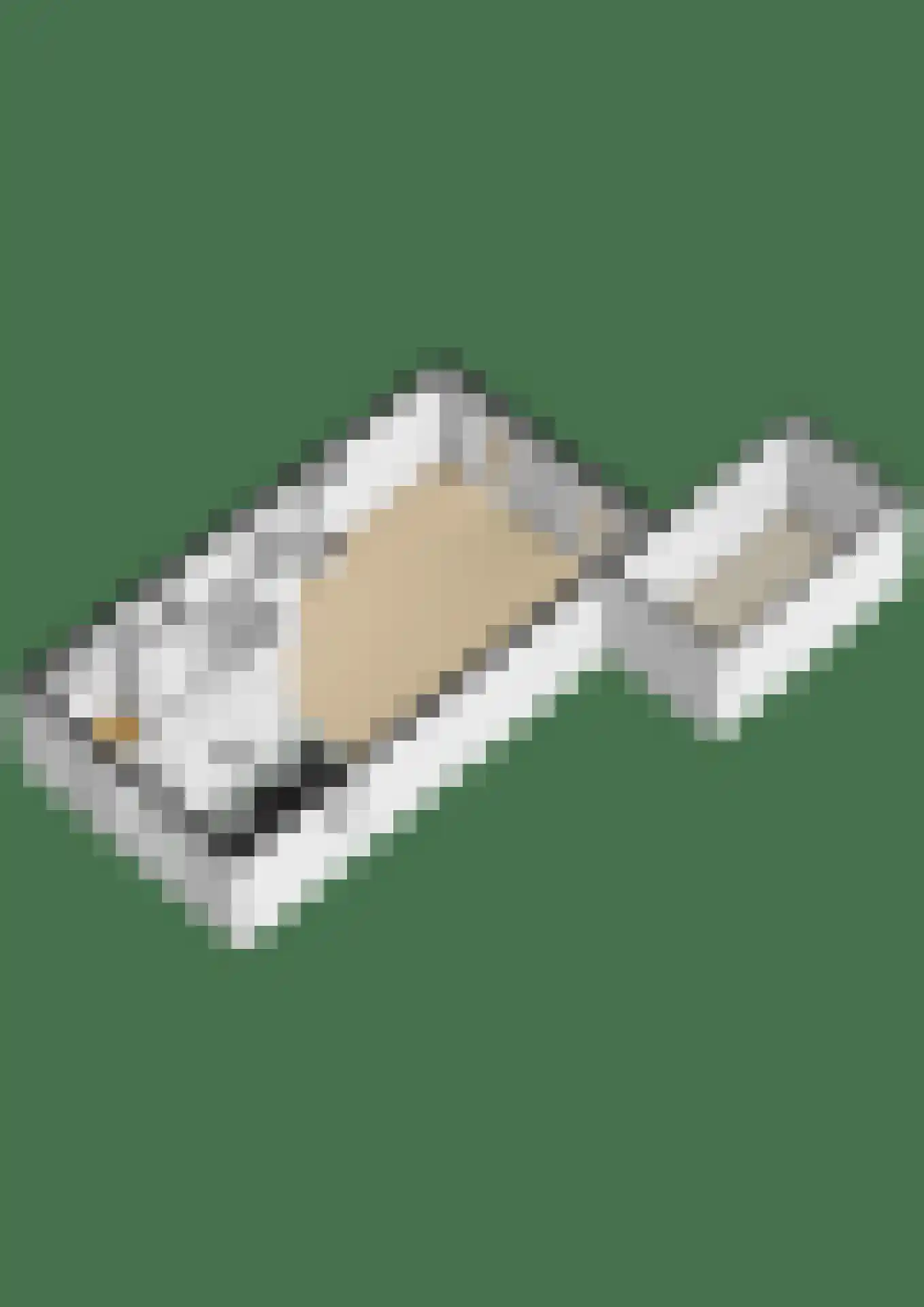 Pulpehoeve 33 Waddinxveen thumbnail 43