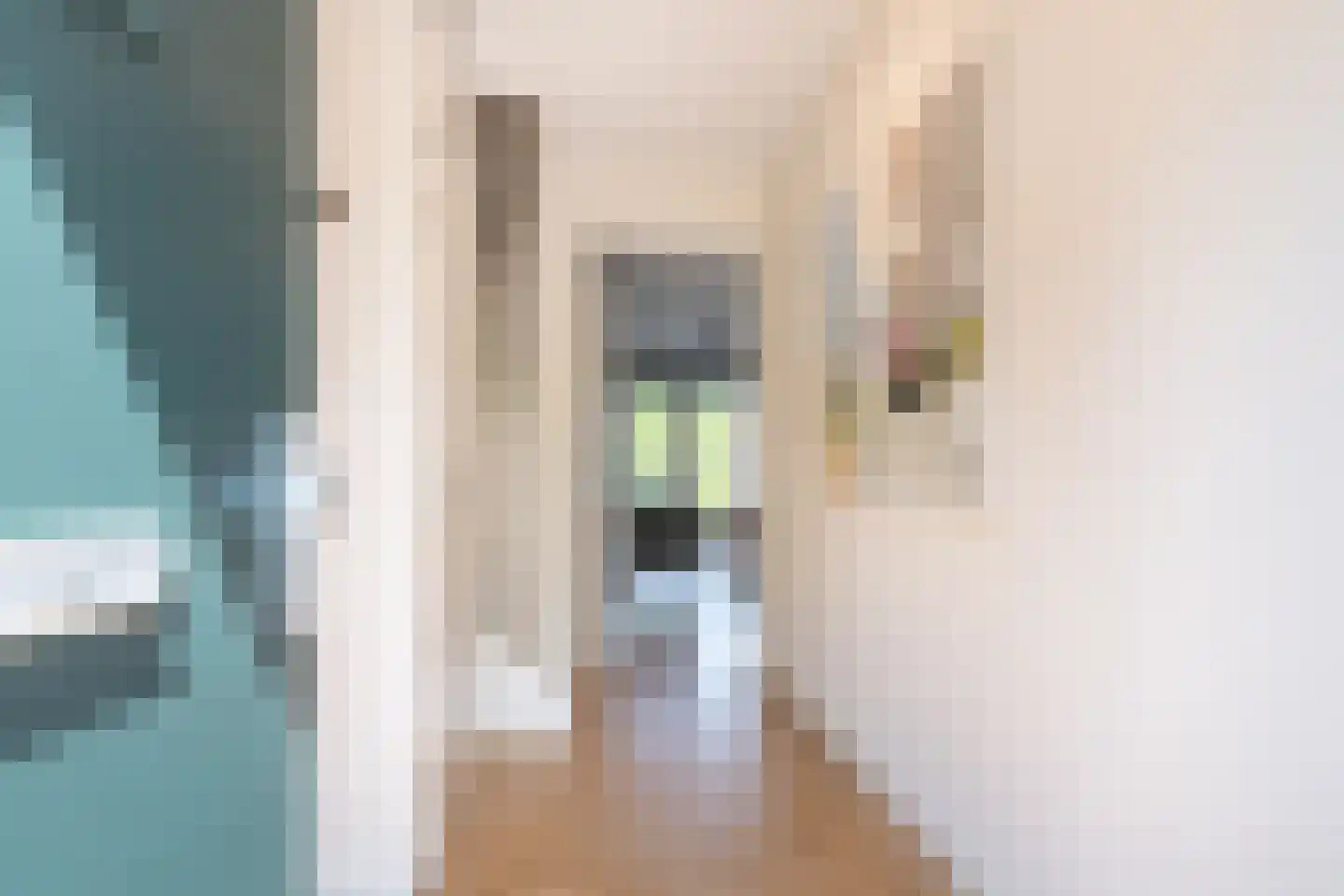 Pulpehoeve 33 Waddinxveen thumbnail 5