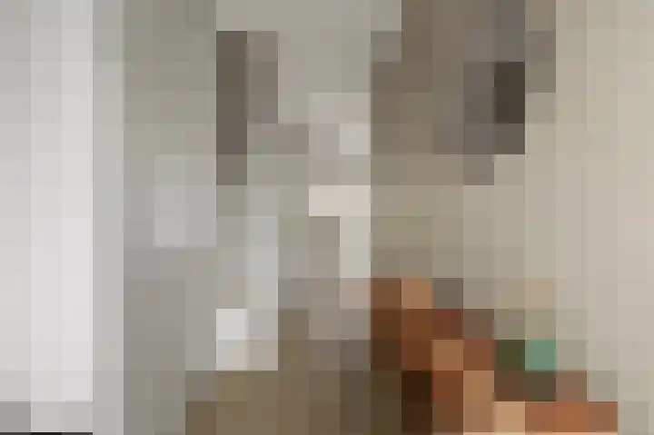 Pulpehoeve 38 Waddinxveen thumbnail 11