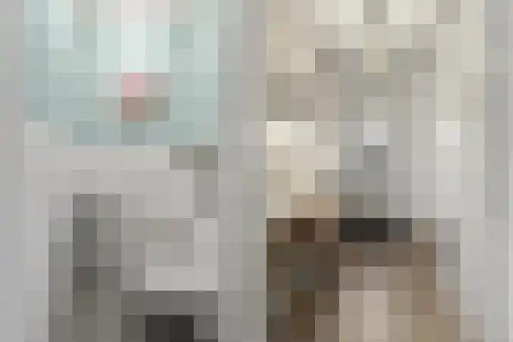 Pulpehoeve 38 Waddinxveen thumbnail 12