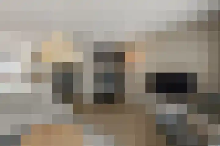 Pulpehoeve 38 Waddinxveen thumbnail 16