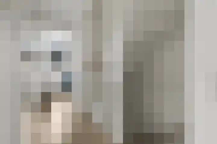 Pulpehoeve 38 Waddinxveen thumbnail 20