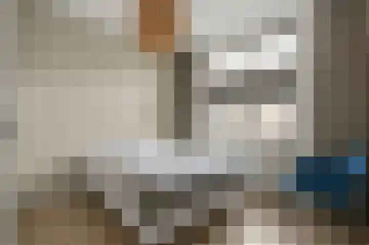 Pulpehoeve 38 Waddinxveen thumbnail 22