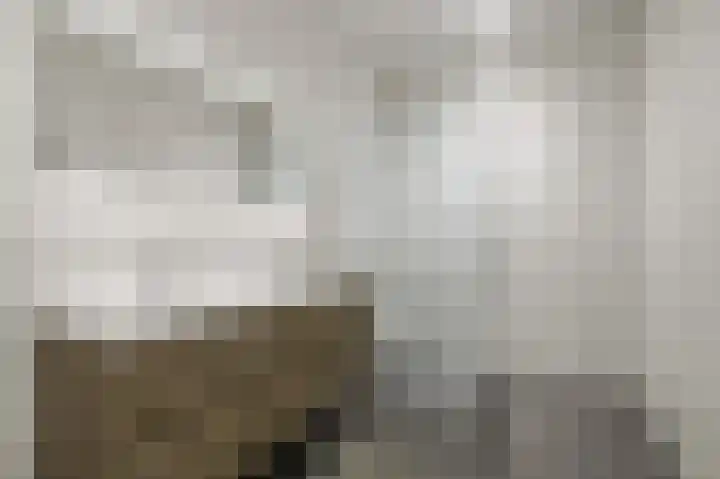 Pulpehoeve 38 Waddinxveen thumbnail 26