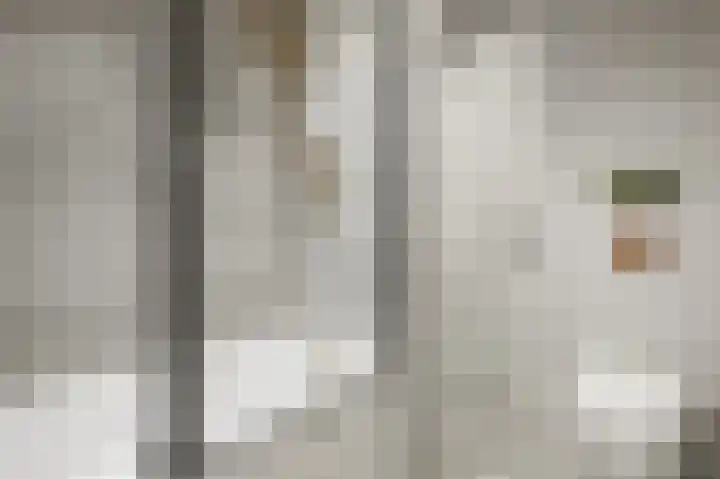 Pulpehoeve 38 Waddinxveen thumbnail 27