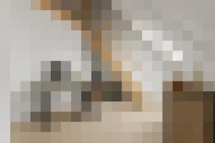 Pulpehoeve 38 Waddinxveen thumbnail 31