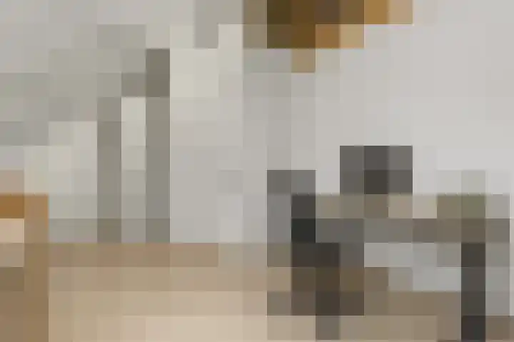 Pulpehoeve 38 Waddinxveen thumbnail 32