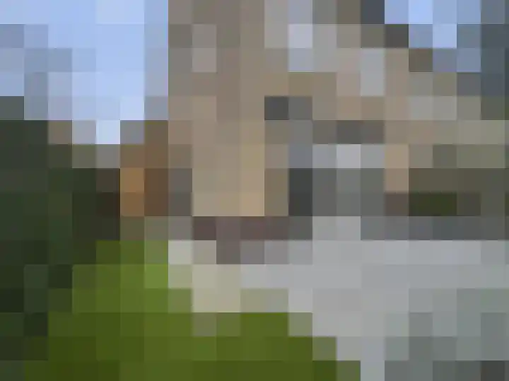 Pulpehoeve 38 Waddinxveen thumbnail 33