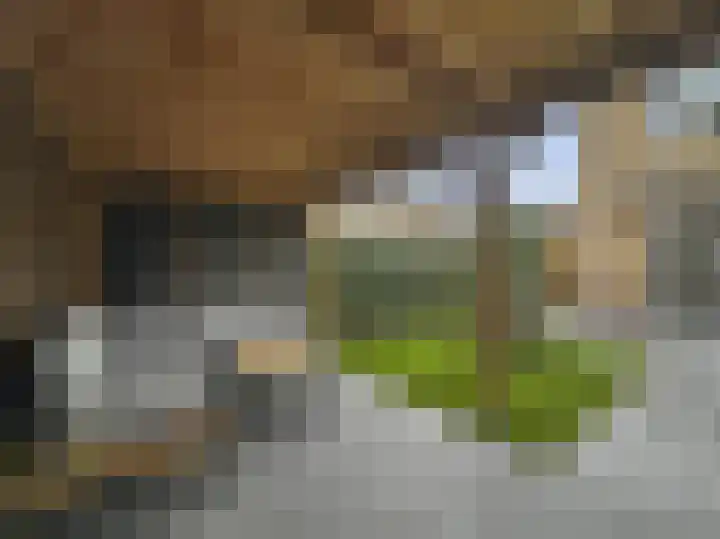 Pulpehoeve 38 Waddinxveen thumbnail 36