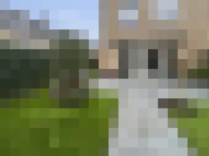 Pulpehoeve 38 Waddinxveen thumbnail 39