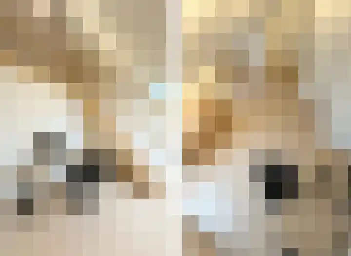 Pulpehoeve 38 Waddinxveen thumbnail 7
