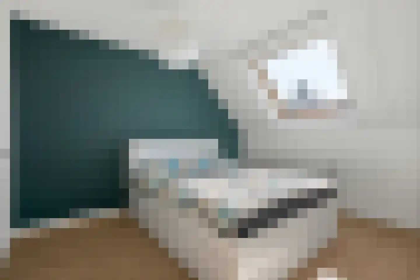 Pulpehoeve 6 Waddinxveen thumbnail 13
