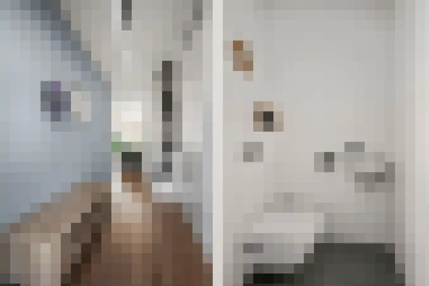 Pulpehoeve 6 Waddinxveen thumbnail 16
