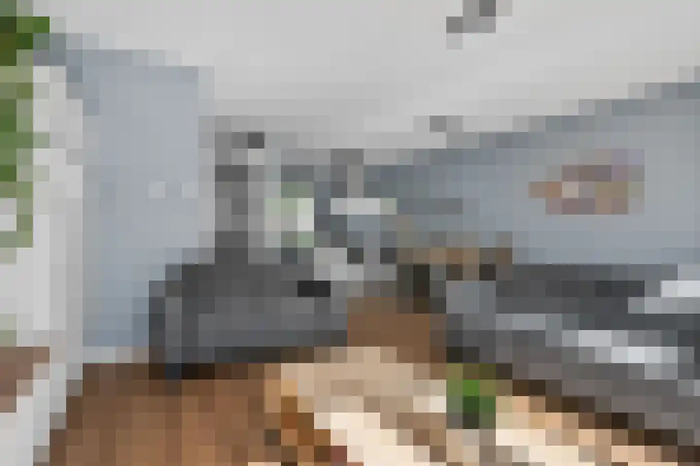 Pulpehoeve 6 Waddinxveen thumbnail 18