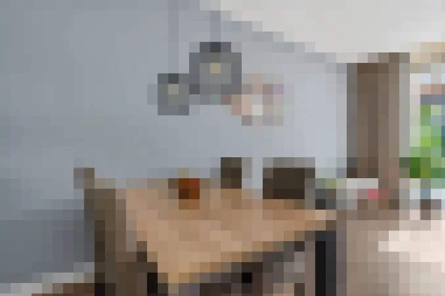 Pulpehoeve 6 Waddinxveen thumbnail 21