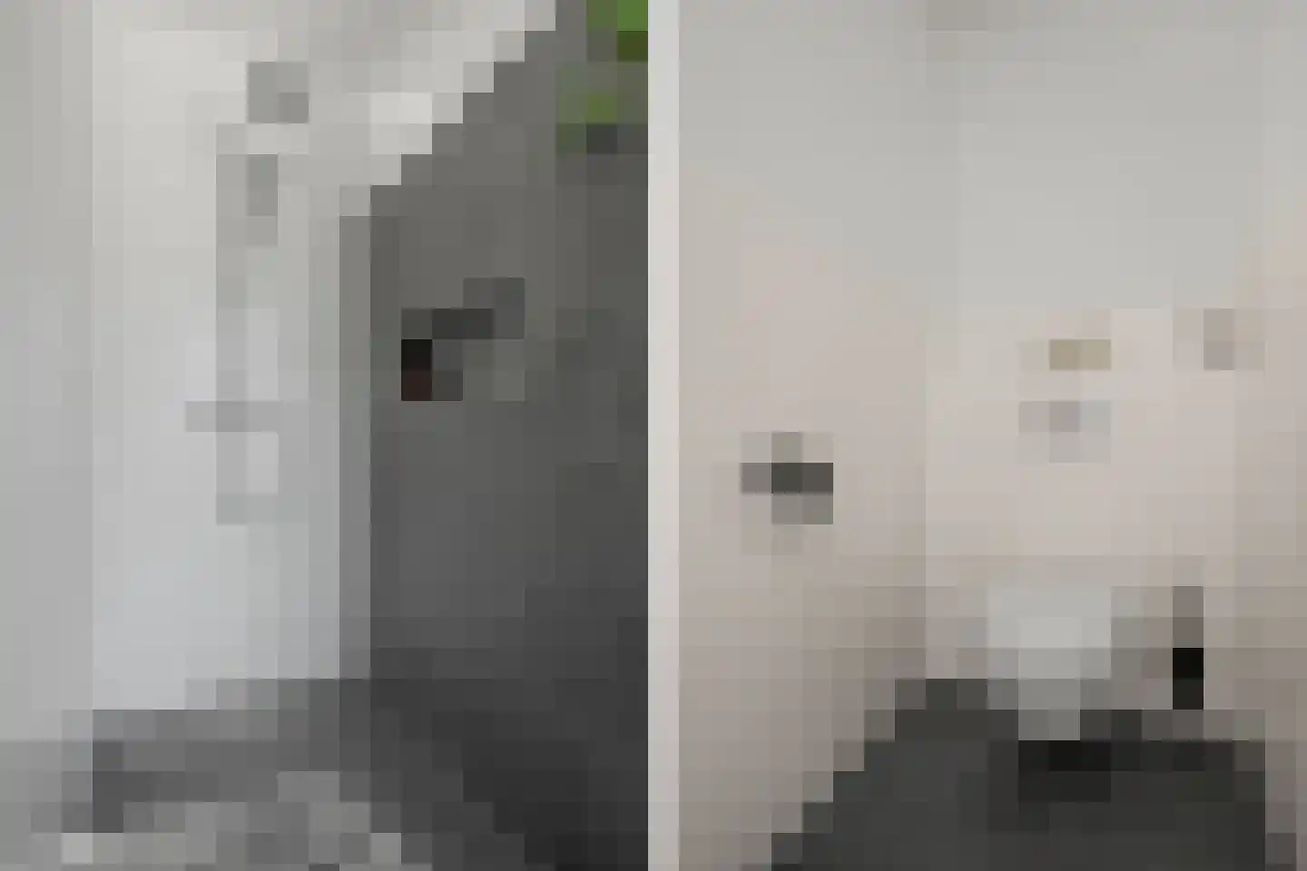 Pulpehoeve 6 Waddinxveen thumbnail 33