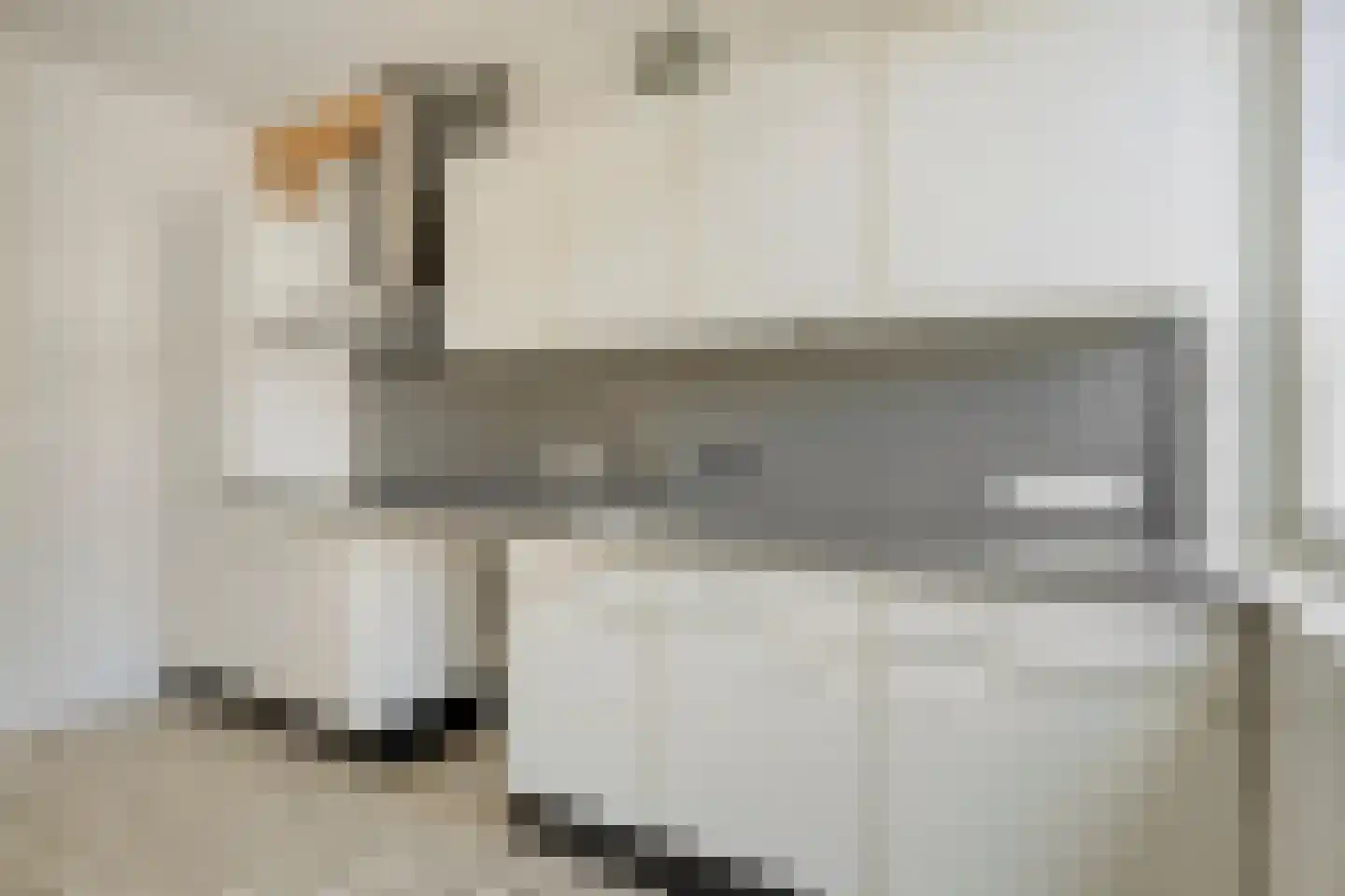 Pulperdonk 16 Maastricht thumbnail 11