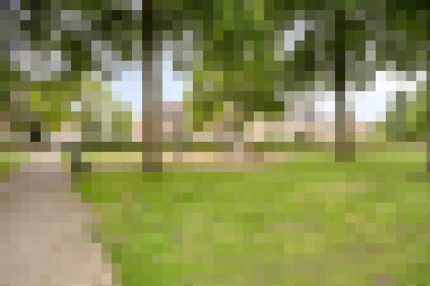 Pulperdonk 16 Maastricht thumbnail 31