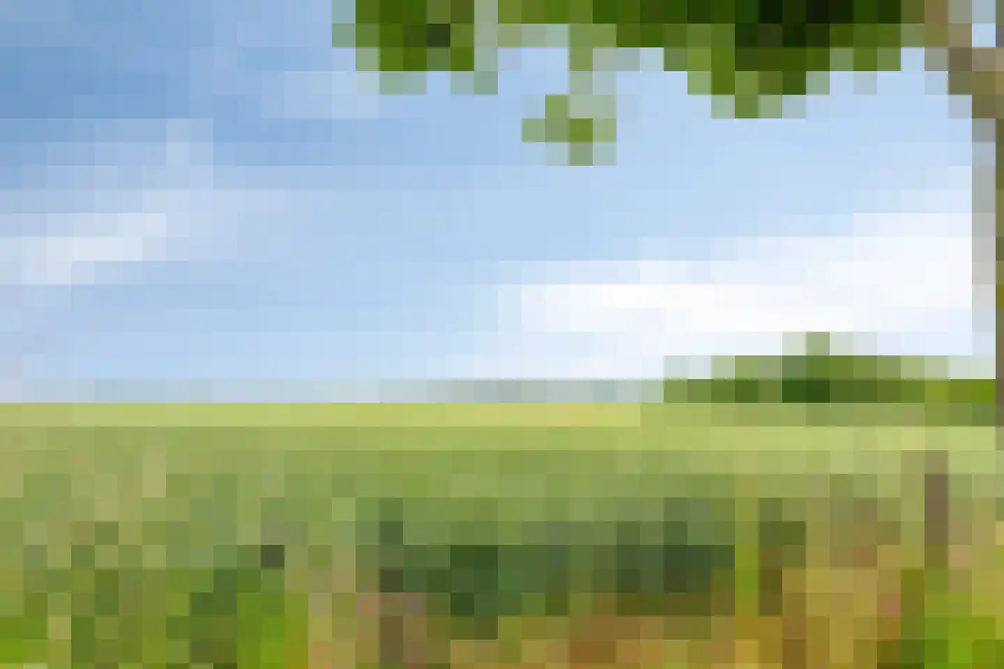 Pulperdonk 16 Maastricht thumbnail 33