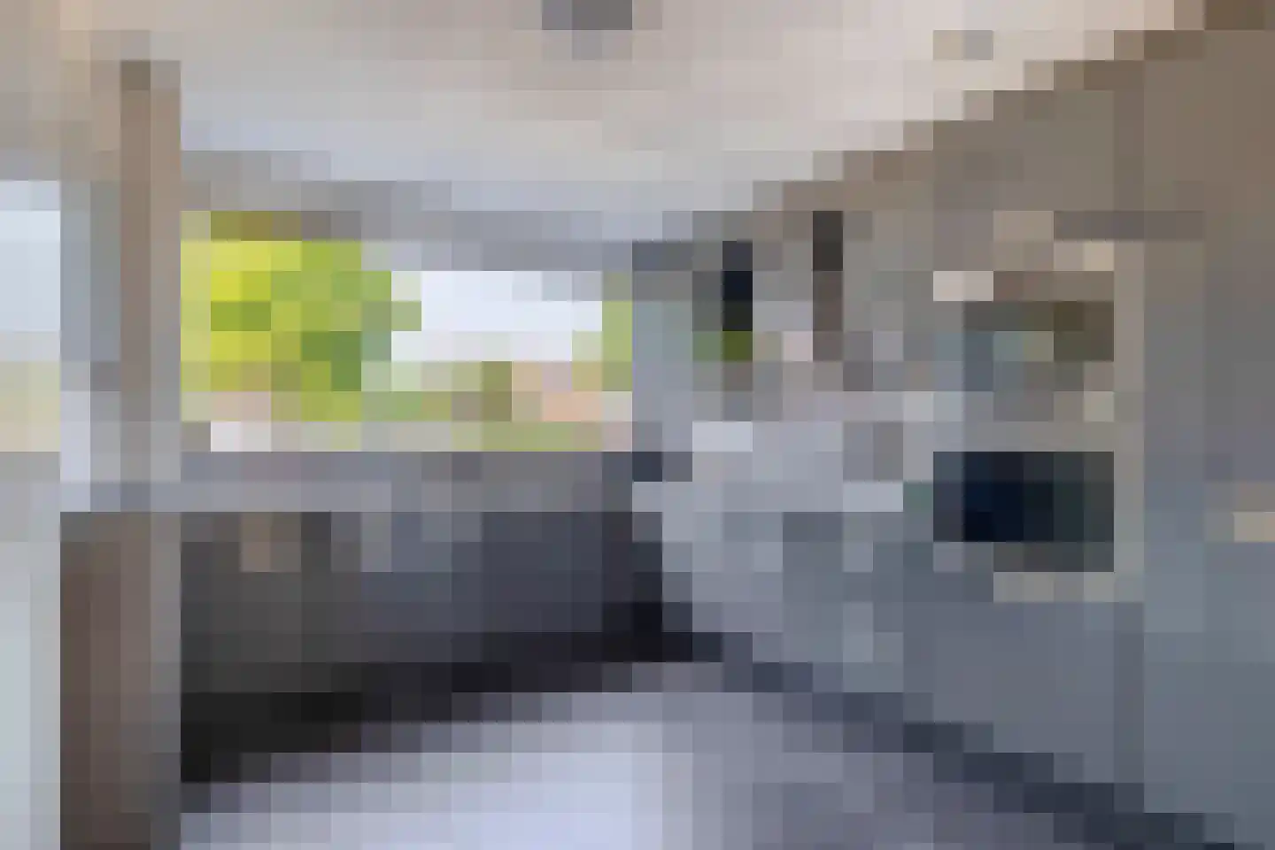 Pulsi Balonishof 16 Capelle aan den IJssel thumbnail 14
