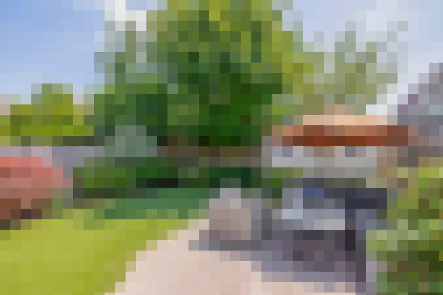 Pulsi Balonishof 16 Capelle aan den IJssel thumbnail 30