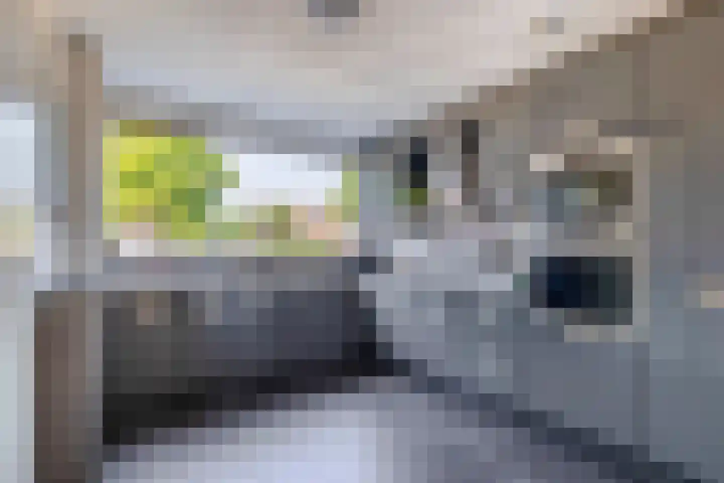 Pulsi Balonishof 16 Capelle aan den IJssel thumbnail 5