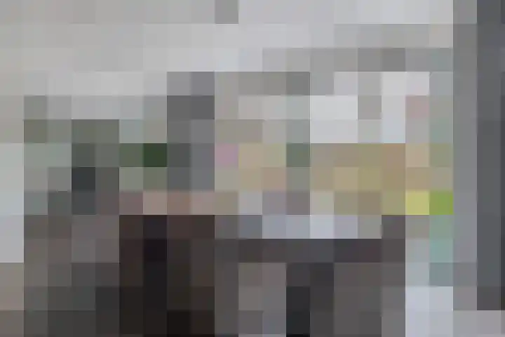 Pulsi Balonishof 18 Capelle aan den IJssel thumbnail 12