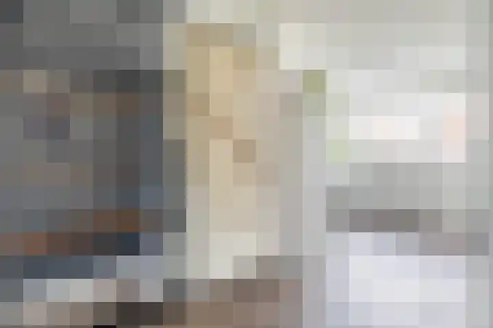 Pulsi Balonishof 18 Capelle aan den IJssel thumbnail 16