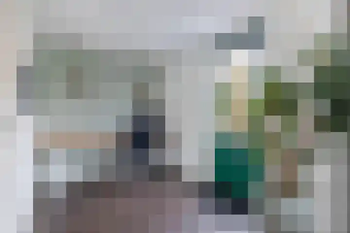 Pulsi Balonishof 18 Capelle aan den IJssel thumbnail 18