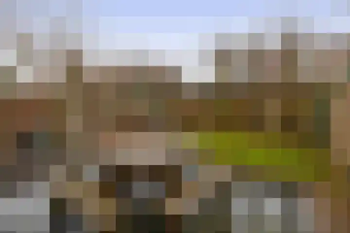 Pulsi Balonishof 18 Capelle aan den IJssel thumbnail 20